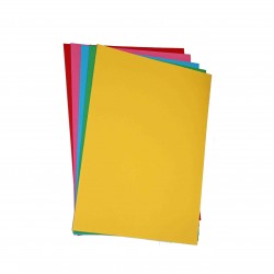 CARTELLINA SEMPLICE FOLDER CARTONCINO LEVIGATO