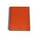 scatto SPIRALE 4 FORI 140pg 80gr SPIRALE TRASPARENTE PLASTICA 1 RIGO