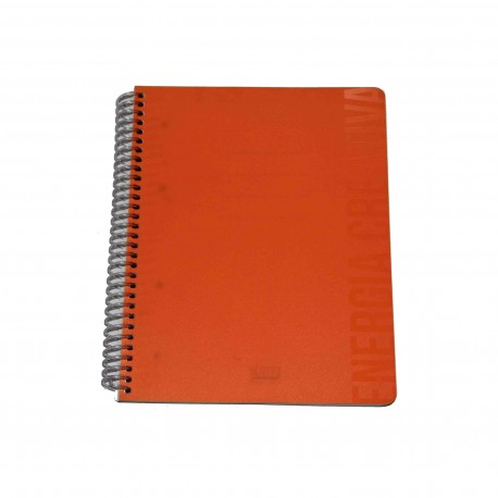 scatto SPIRALE 4 FORI 140pg 80gr SPIRALE TRASPARENTE PLASTICA 1 RIGO