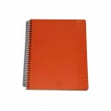 scatto SPIRALE 4 FORI 140pg 80gr SPIRALE TRASPARENTE PLASTICA 1 RIGO
